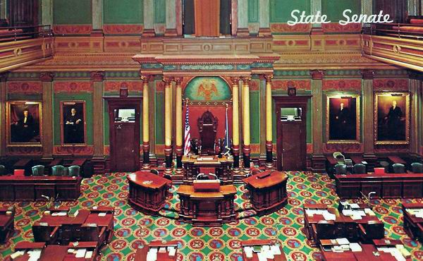 State Senate